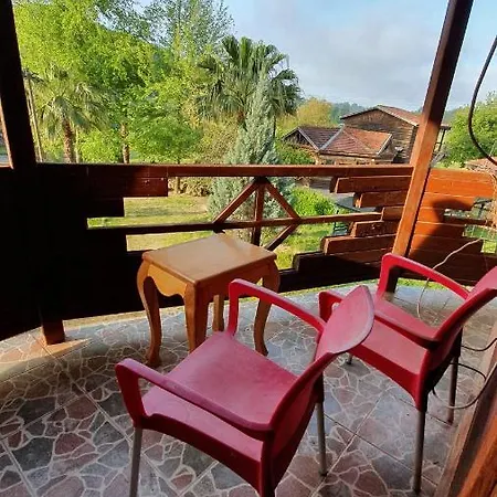 Papaya A-4 B&B
